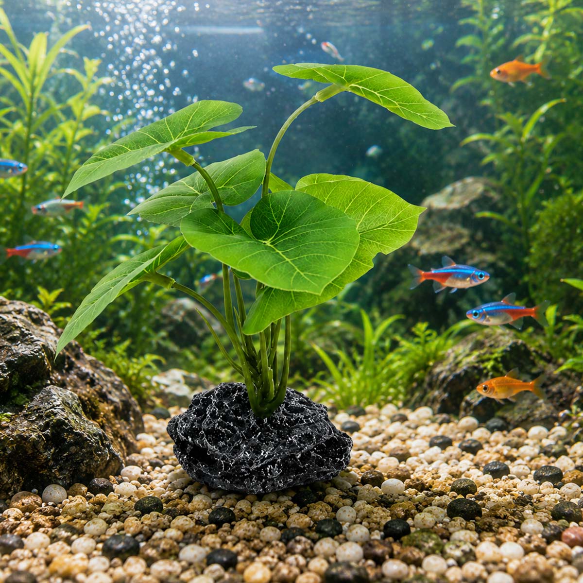 1 Stück Aquarium-Simulationspf – Terrarium Moss Art Bewertung und Preis