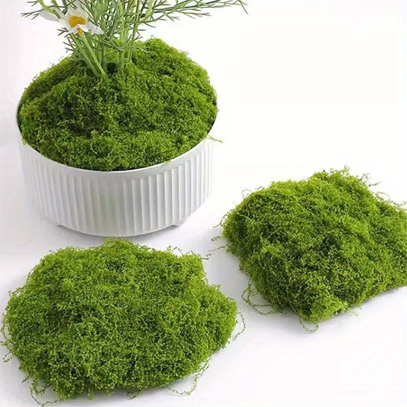 Grünes künstliches Moos, DIY-H – Terrarium Moss Art Bewertung und Preis